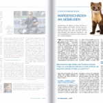 Versicherungsfragen: Marderschäden an Gebäuden