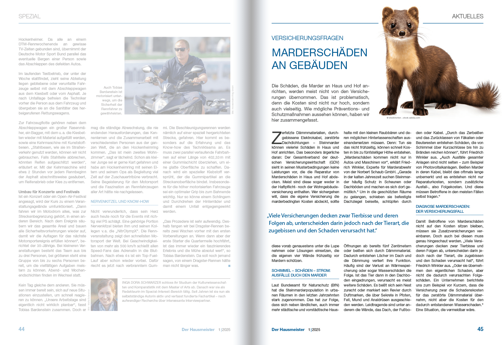 Versicherungsfragen: Marderschäden an Gebäuden