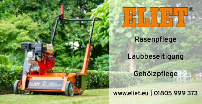 Eliet